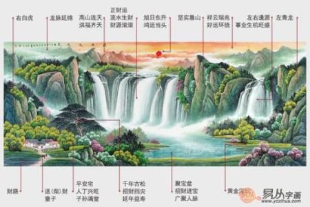 风水树与客厅财位的完美结合，旺财又美观