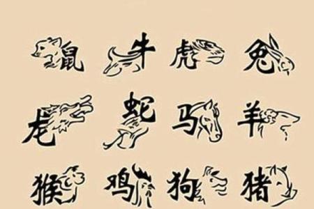 从生肖角度解读猪和牛的婚姻关系