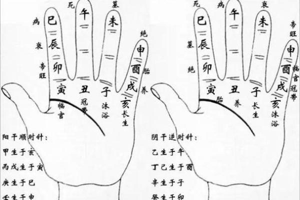 推荐几款生辰八字算命软件，助你洞察命运