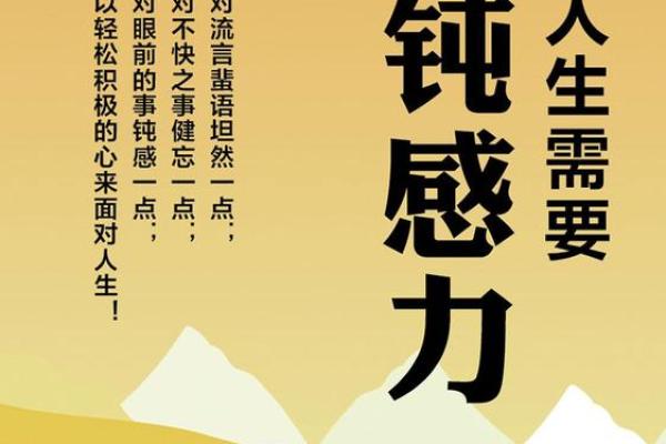 蝴蝶命的深层含义与人生启示