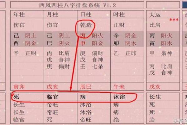 女命八字中的食神与伤官代表的性格特征 女命八字中的食神与伤官代表的性格特征