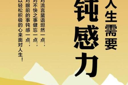 蝴蝶命的深层含义与人生启示
