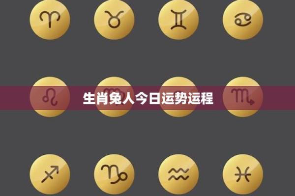 兔年运势全解析：事业、财运、感情与健康运程详解