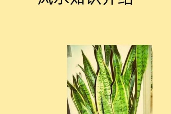 平字五行属性解析及其在命理中的影响 平字五行属性解析及其在命理中的影响