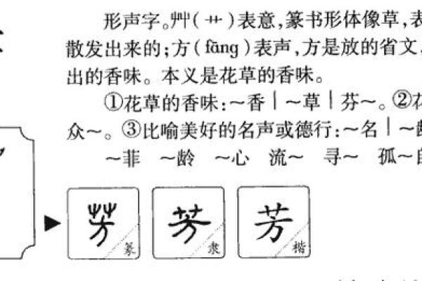 琂字五行属性解析与其含义探讨 琂字五行属性解析与其含义探讨