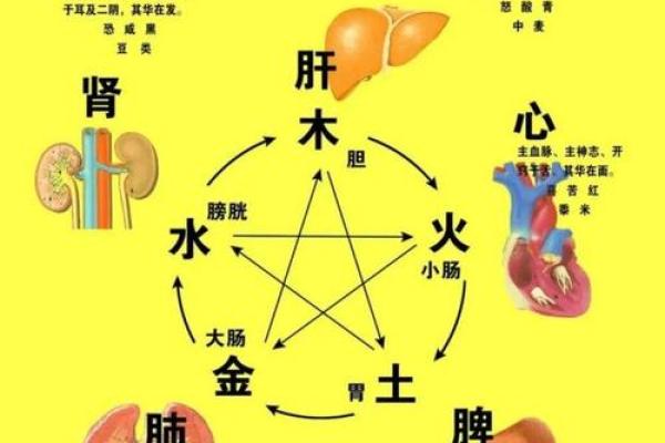 晟字的五行属性及其在命理中的影响分析 晟字的五行属性及其在命理中的影响分析