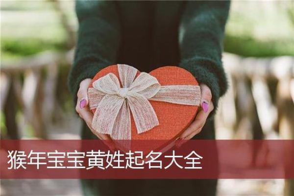 猴年宝宝起名字大全,精选富有祝福的名字 猴年宝宝起名字大全,精选富有祝福的名字