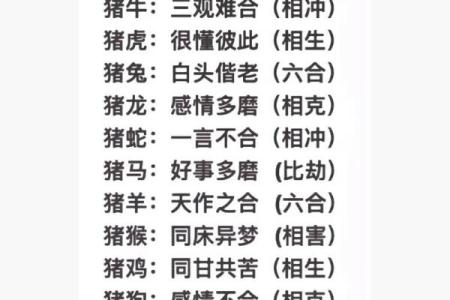 女兔男鸡婚姻配对分析：是否天作之合？