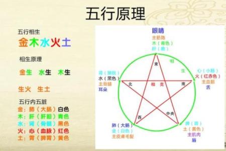命水与八字命理中的五行相生相克
