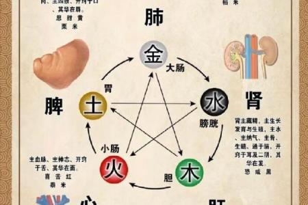 生辰八字火在五行中的独特作用与生活指导