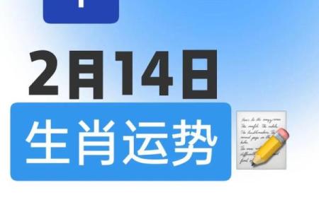 羊年生肖运程解析与运势展望