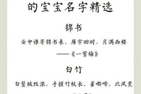 如何根据性别和性格为鸡宝宝选择名字
