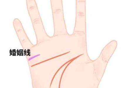 八字与婚姻幸福度：从命理看婚姻长久的秘诀