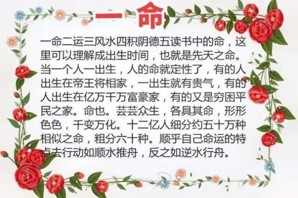 如何理解阴命阳命的命理学说