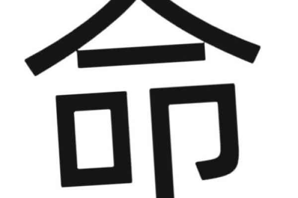 女命的含义与命理解析深度探讨