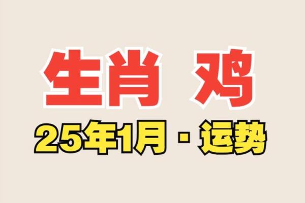出生的鸡运程解析