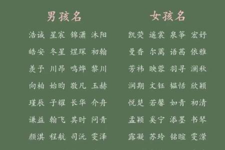 男宝宝名字选取：传承与创新的平衡