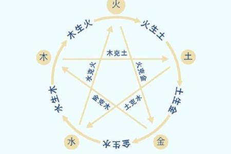 如何理解阴命阳命的命理学说