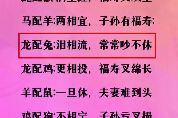 女蛇男猪婚姻是否相配：揭秘两者性格与命运的契合度