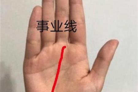掌纹揭秘：什么手型的人最有富贵运
