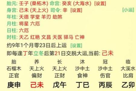 生辰八字解析与命运发展关系探讨