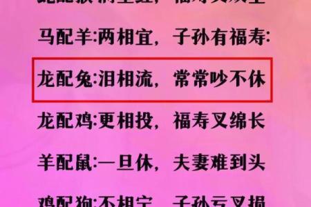 女蛇男猪婚姻是否相配：揭秘两者性格与命运的契合度