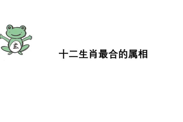 属兔男女是否天作之合？解析属兔女与属兔男的相配度