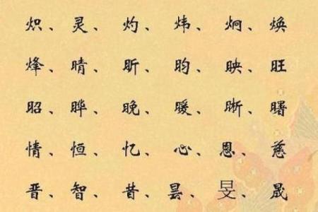 田字五行属性解析及其影响因素