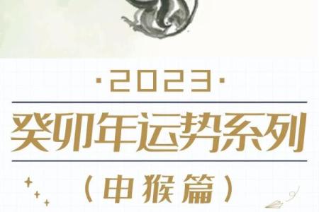 六八年属猴运势全面解析