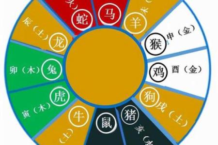 兔生肖运势预测：如何掌握财运与事业运