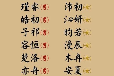 张姓女宝宝名字推荐：优雅与个性的完美结合