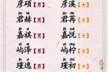 虎宝宝起名技巧与注意事项