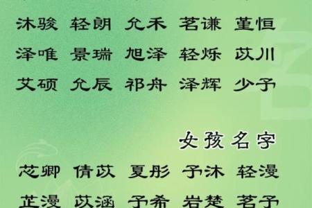 女主名字大全推荐：赋予角色独特魅力的名字灵感