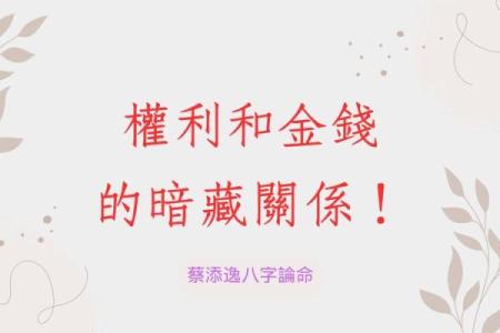 八字分析：揭示个人命运的深层秘密