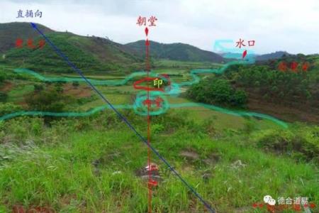 如何通过墓地风水改善家庭财运与健康