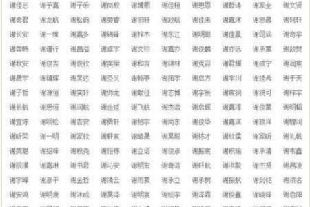 按照生辰八字取名打分，提升名字的吉祥度