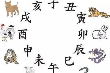 深入了解生辰八字火的特点与调节方法