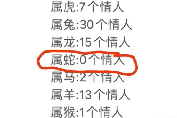属马与属虎的配对是否和谐？看这些相配的关键因素