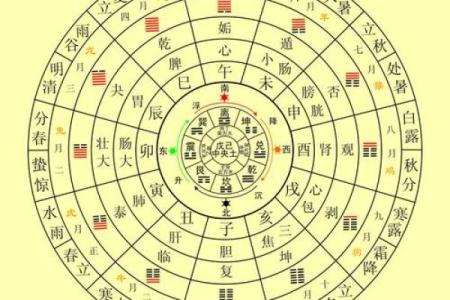 出生属马人的五行命理与运势走势