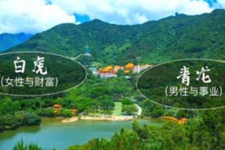 中国风水宝地揭秘：如何选址提升运势与财富