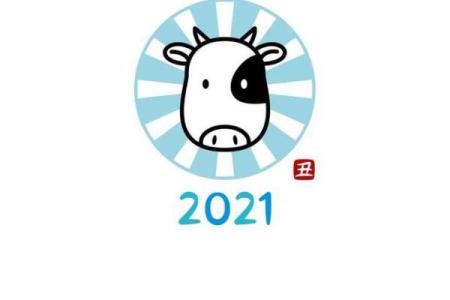 生肖鸡男宝宝名字推荐：寓意吉祥且有深度