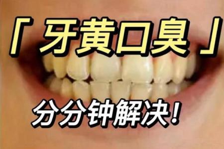 如何改善口臭问题，从牙齿做起