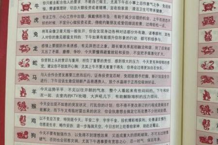 猪人每月运势解析与运程预测