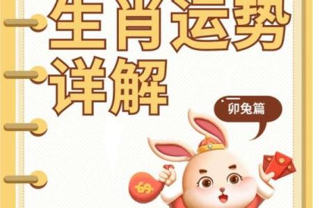 龙年生人运势大预测：事业、财富与感情