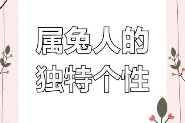 属兔男和属兔女的性格与婚姻配对分析