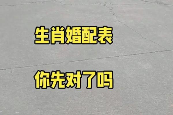 从生肖角度看女猪男羊婚姻是否和谐