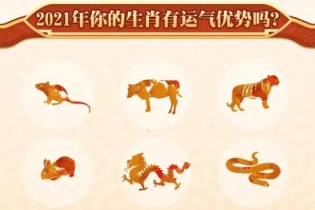 深入分析宋韶光十年运程：命理运势详解