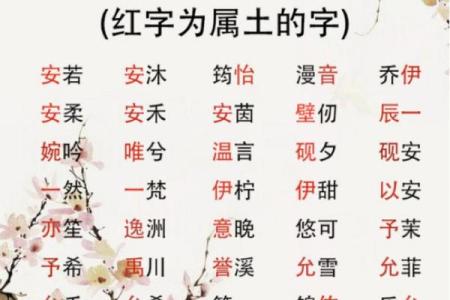 解析生辰八字与名字之间的深层联系