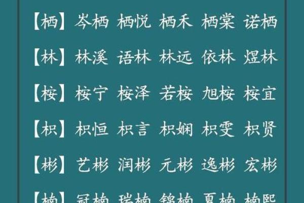 三个字名字大全:为宝宝取名提供灵感与建议 三个字名字大全:为宝宝取名提供灵感与建议