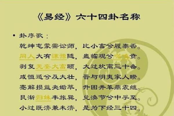 蛇年生人运程详解:事业、财富与感情全方位分析 蛇年生人运程详解:事业、财富与感情全方位分析